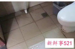 梦见掉进厕所里是什么意思