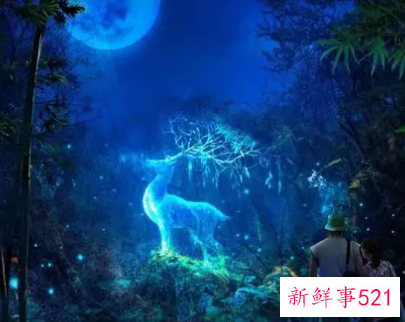 孕妇梦见小虾是什么意思