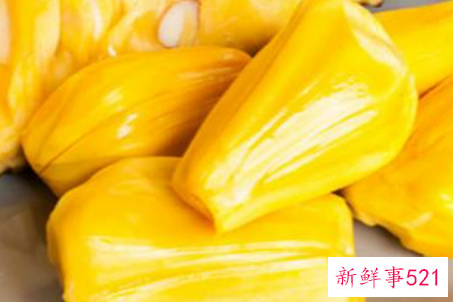 菠萝蜜的吃法大全及品种分类