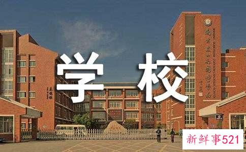 学校实践活动怎么写