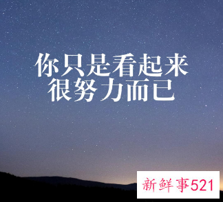 你只是假装很努力演讲稿