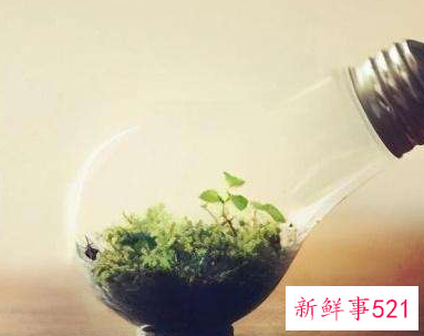 太笨的人一辈子就废了吗