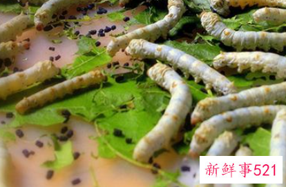 女人梦见黑色大蜘蛛