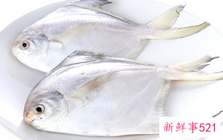 鱼不能和什么食物在一起吃