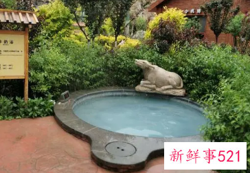 泡温泉泡几天为一个疗程最好