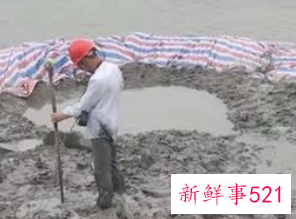 浙江不明物坠入鱼塘