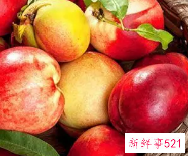 油桃是热性还是凉性水果