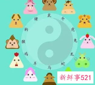 最聪明的生肖女排名表