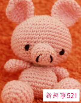 71年属猪适合做什么行业