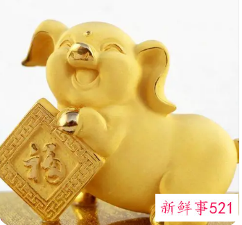 95年属猪哪年遇到另一半