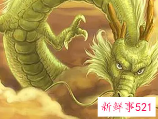 梦见龙特别真实