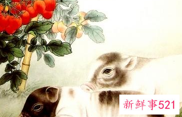 属猪男对一个女人动情