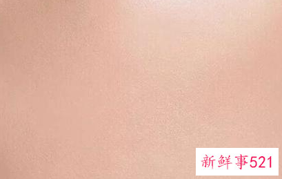 妆前乳和粉底液的区别