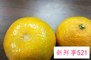 哪些食物是相克的不能在一起吃的