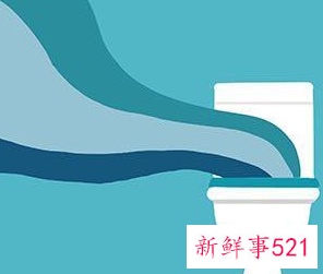 厕所安马桶多少钱