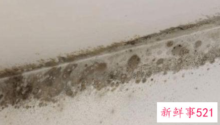 外墙潮湿发霉怎么处理