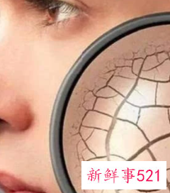 皮肤的七大作用