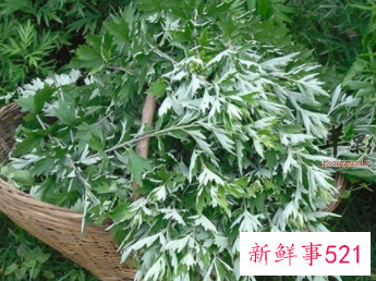 花椒和艾叶泡脚的功效