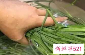 女孩子吃韭菜好不好