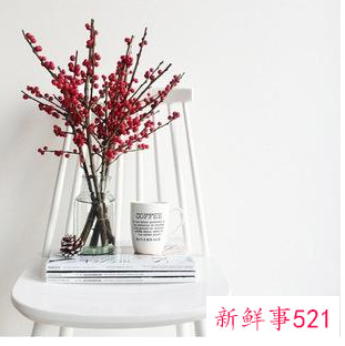 客厅放什么干花好看又旺财