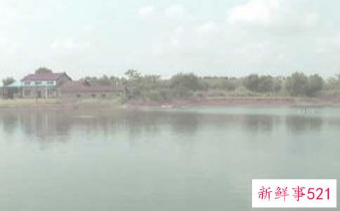 梦见鱼池、鱼塘