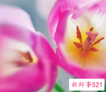 寓意好运的微信号两个字