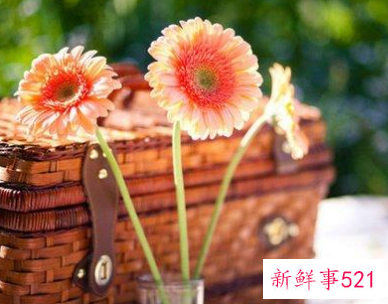 最暖心的早安问候语短句