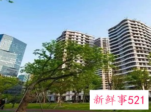 公摊面积法律依据在哪里查询