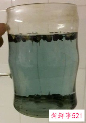 假黑枸杞泡水后什么颜色