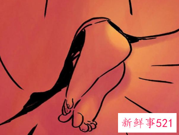 怎样追到心议的女孩