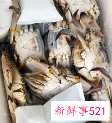 蒸螃蟹怎么吃法是正确的