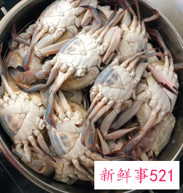 蒸螃蟹怎么吃法是正确的