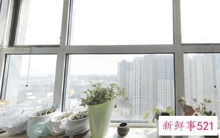 通透和采光哪个更重要