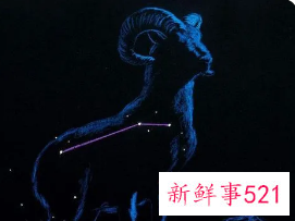 白羊星座女性格特征