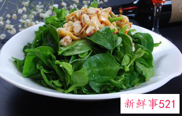 女性经期能吃穿心莲吗