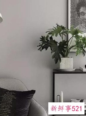 墙板什么颜色好看