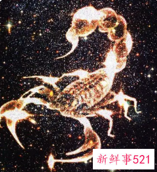 惹怒十二星座的后果