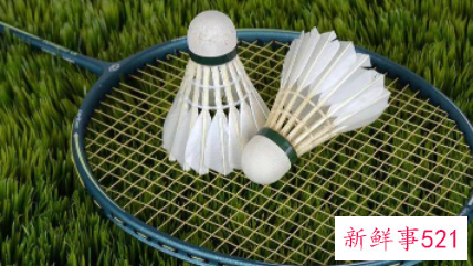 打羽毛球励志语录