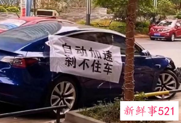 特斯拉告赢代驾司机获道歉赔偿