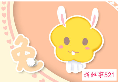 99年属兔的是什么命运