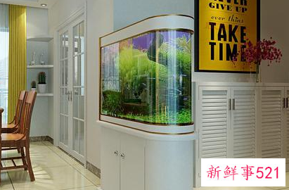 客厅养鱼有什么风水禁忌