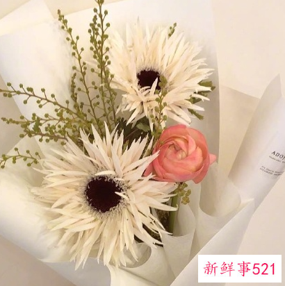 最动听的早安问候语