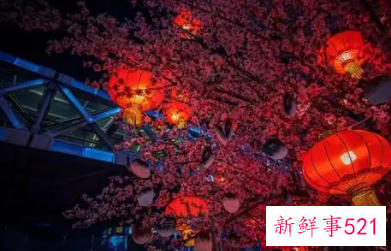 新年气氛满满的图片