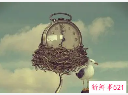 梦见下雨没有淋湿自己是什么意思