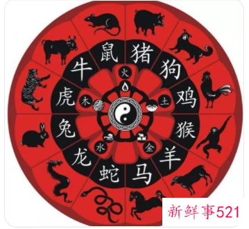 生肖相克如何化解