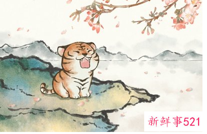 属马的什么颜色是幸运色