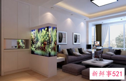 客厅养鱼有什么风水禁忌