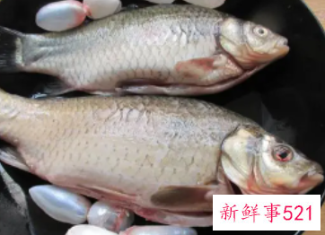 吃鱼是不是会加重湿气