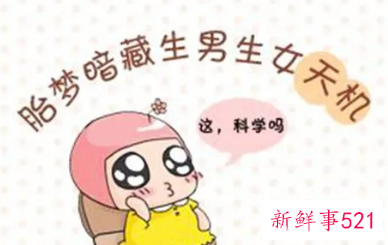 孕妇梦到惊险刺激的场景