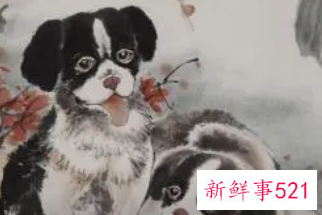 属狗的女生性格怎么样